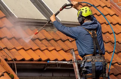 Démoussage et hydrofuge de toiture à Vergeroux